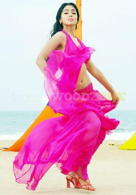 Shriya Sexy New Pictures