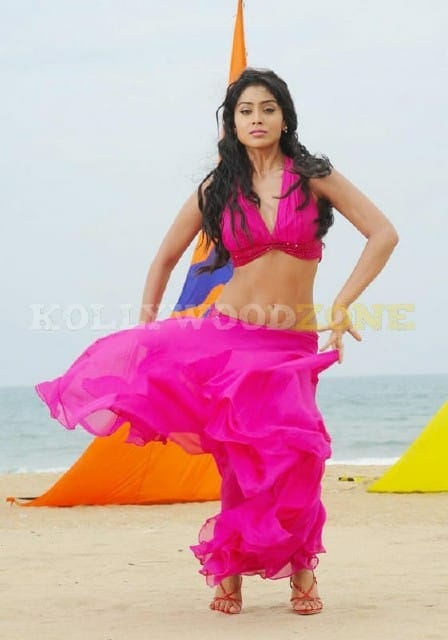 Shriya Sexy New Pictures