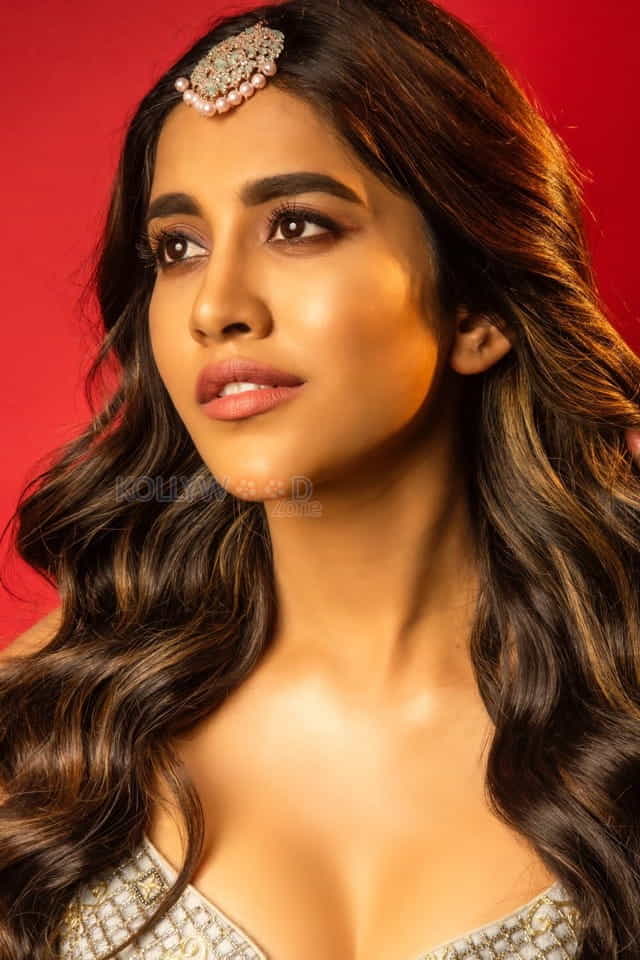 Solo Brathuke So Better Actress Nabha Natesh Photos