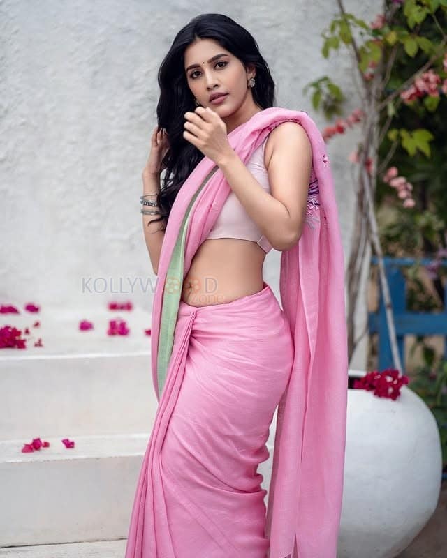 Stunning Beauty Nabha Natesh Navel in a Pink Saree Photoshoot Pictures 04