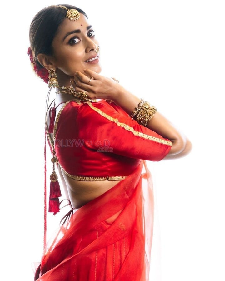 Stunning Shriya Saran in a Red Lehenga Photos 07