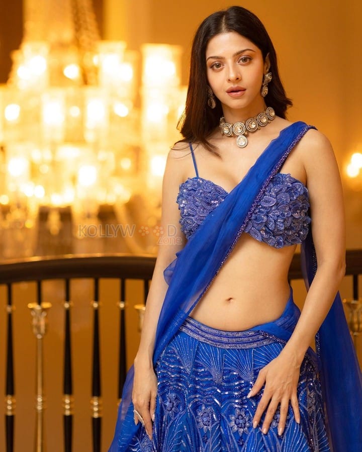 Stunning Vedhika Kumar Navel in a Blue Lehenga Pictures 02