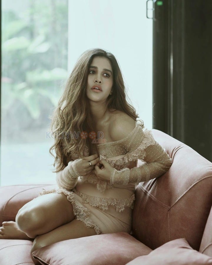 Stylish and Sexy Nabha Natesh in a Transparent Beige Full Sleeve Dress Pictures 04