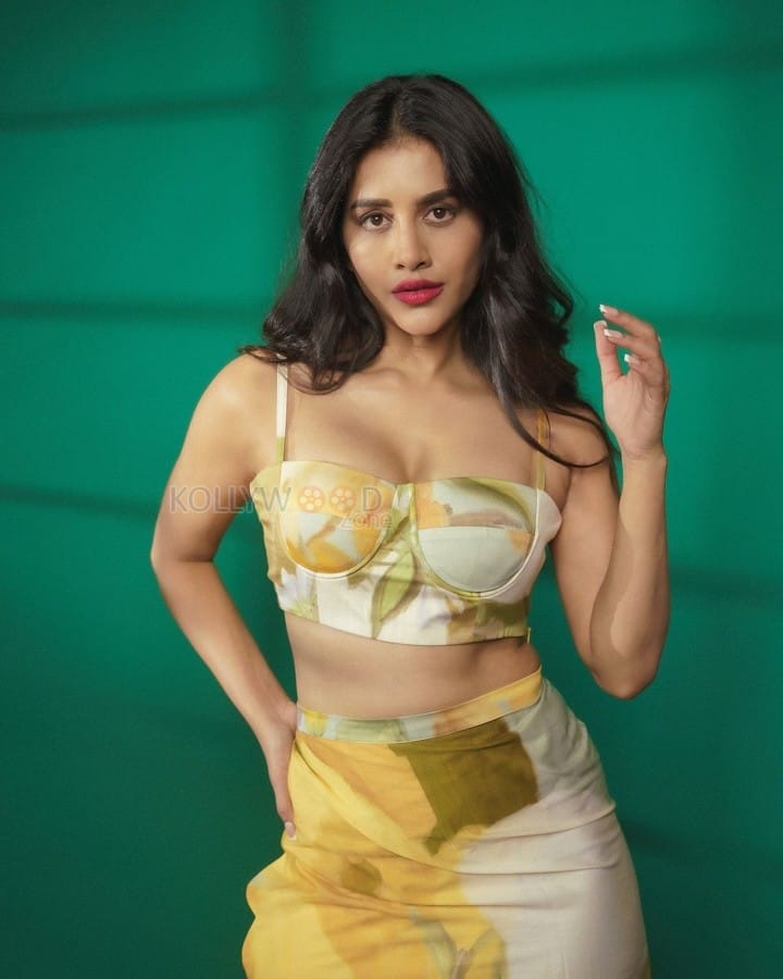 Swayambhu Nabha Natesh in a Daring Two Piece Bustier Top and Floral Midi Skirt Photos 07