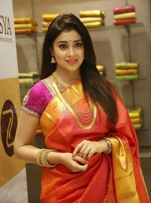 Tamil Actress Shriya Saran Stills