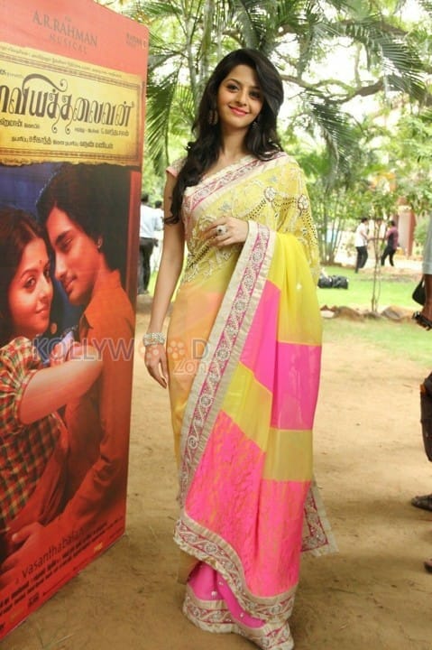 Tamil Actress Vedhika Saree Pics