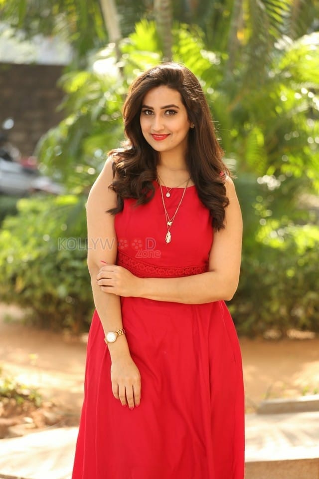 Television Anchor Manjusha At Padi Padi Leche Manasu Movie Thanks Meet Photos