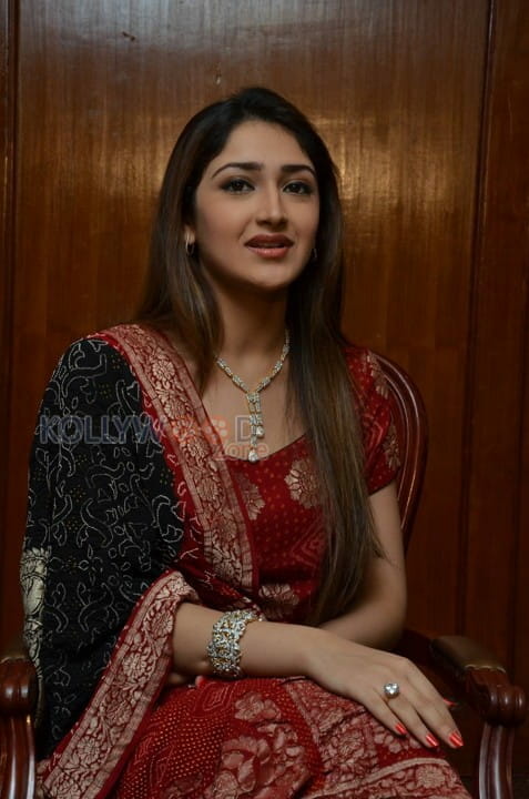 Telugu Actress Sayesha New Pictures