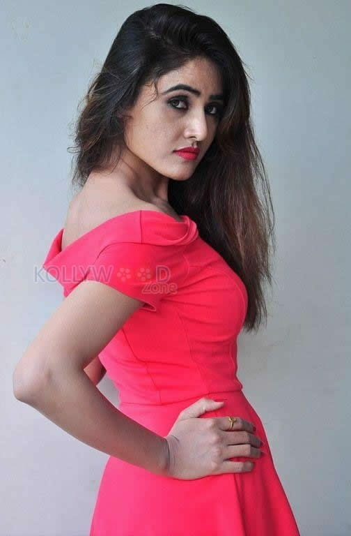 Telugu Actress Sony Charishta Hot Sexy Spicy Photos