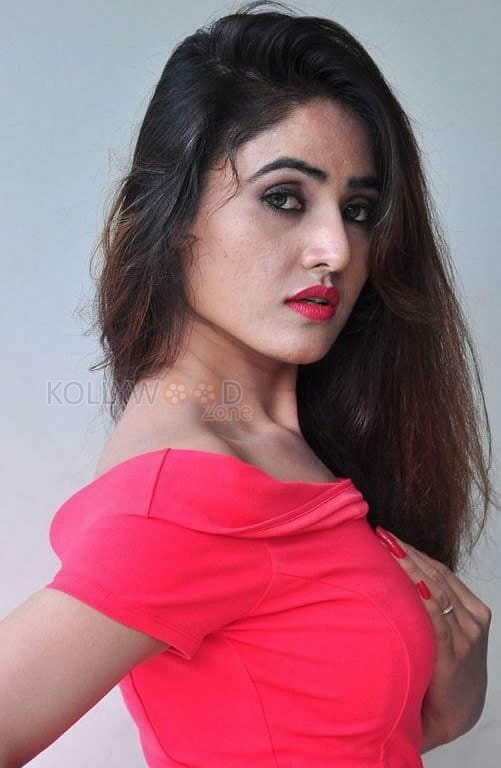 Telugu Actress Sony Charishta Hot Sexy Spicy Photos