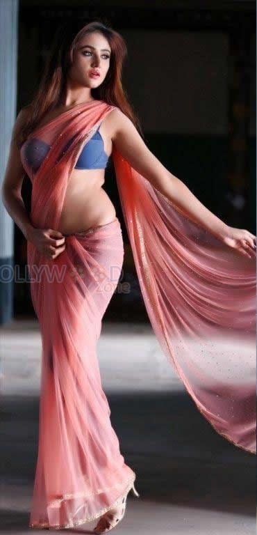 Telugu Actress Sony Charishta Hot Sexy Spicy Photos