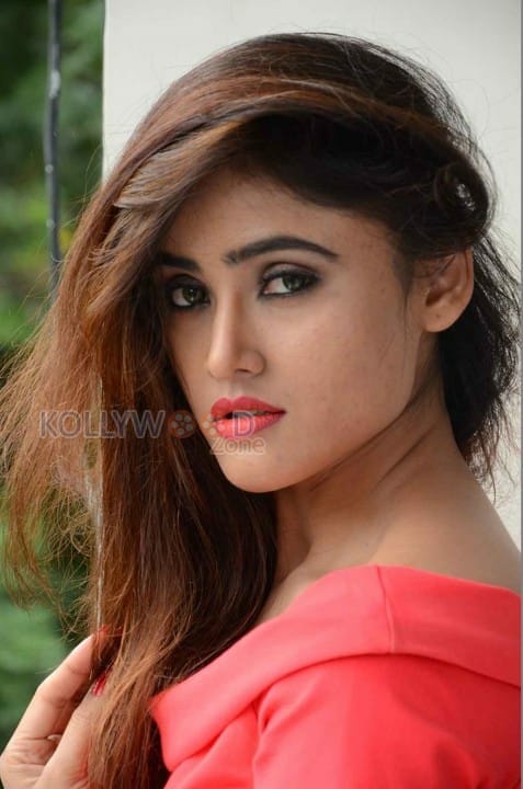 Telugu Actress Sony Charishta Sexy Photoshoot Photos