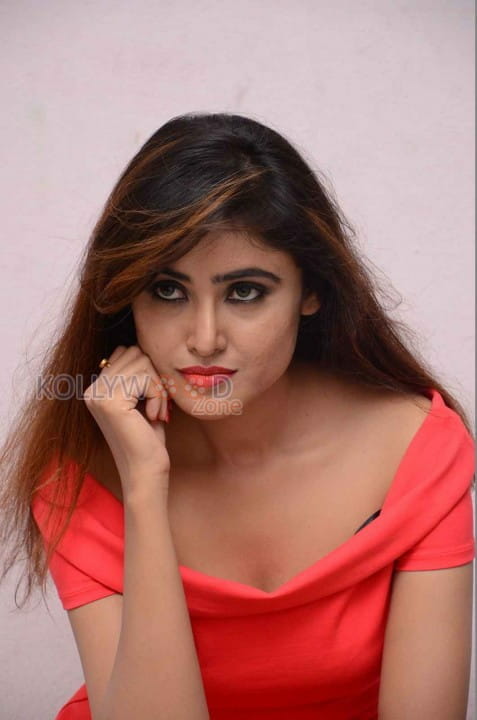 Telugu Actress Sony Charishta Sexy Photoshoot Photos