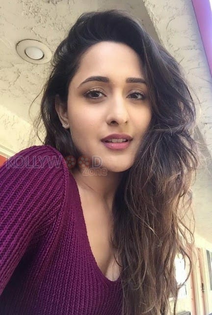 Telugu Film Actress Pragya Jaiswal Pictures