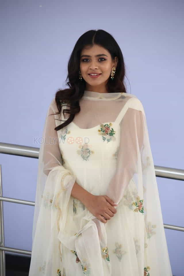 Kisses Movie Fame Hebah Patel Photos