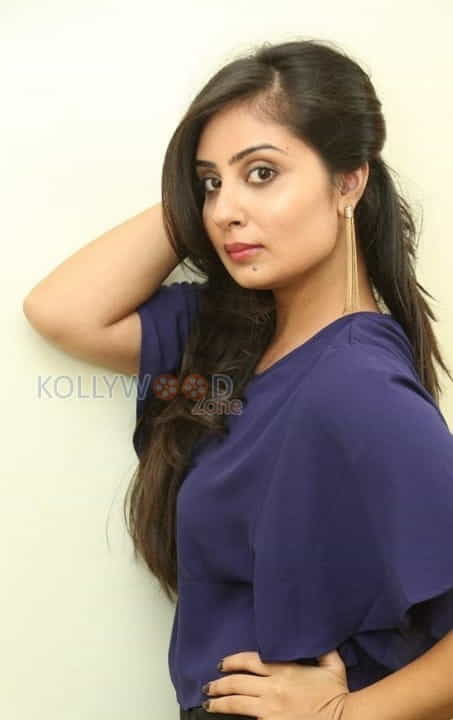 Actress Bhanu Sri Mehra Photoshoot Stills