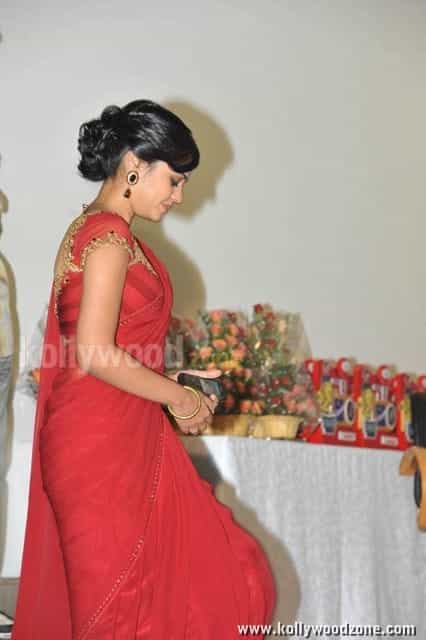 Actress Bindu Madhavi Hot Red Saree Photos