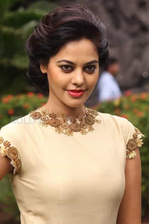 Actress Bindu Madhavi Latest Pictures