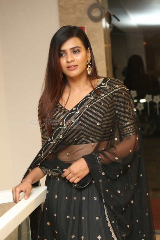 Actress Hebah Patel At Kisses Pre Release Event Photos