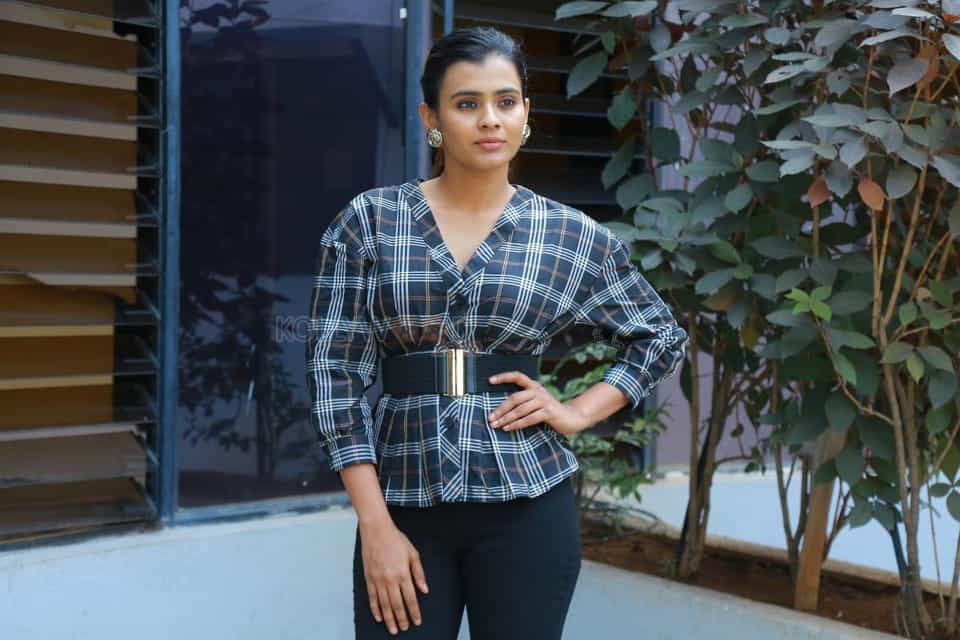 Actress Hebah Patel At Kisses Press Meet Photos