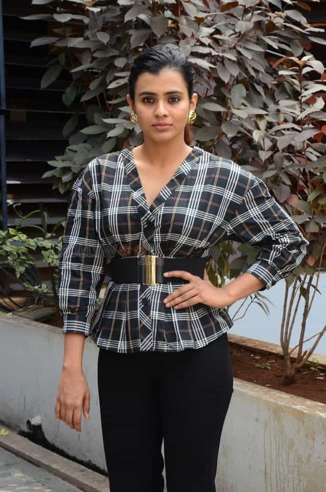 Actress Hebah Patel At Kisses Press Meet Photos