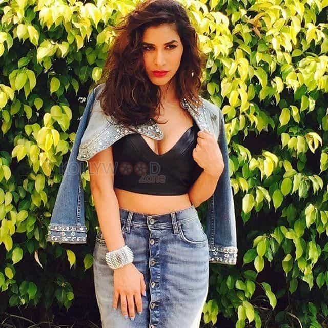 Actress Sophie Choudry Sexy Spicy Photos