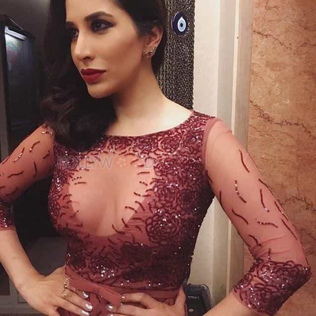 Actress Sophie Choudry Sexy Spicy Photos