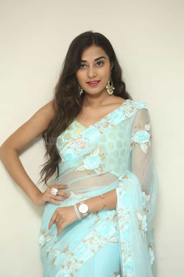 Actress Stefy Patel At Ninnu Thalachi Movie Press Meet Photos