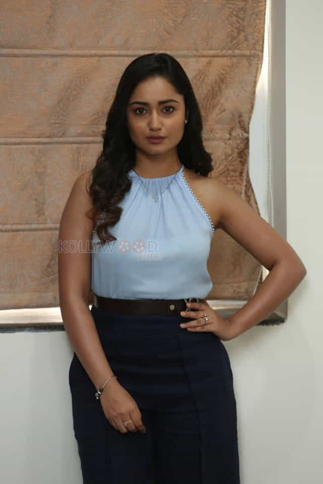 Actress Tridha Choudhury At Movie Press Meet Photos