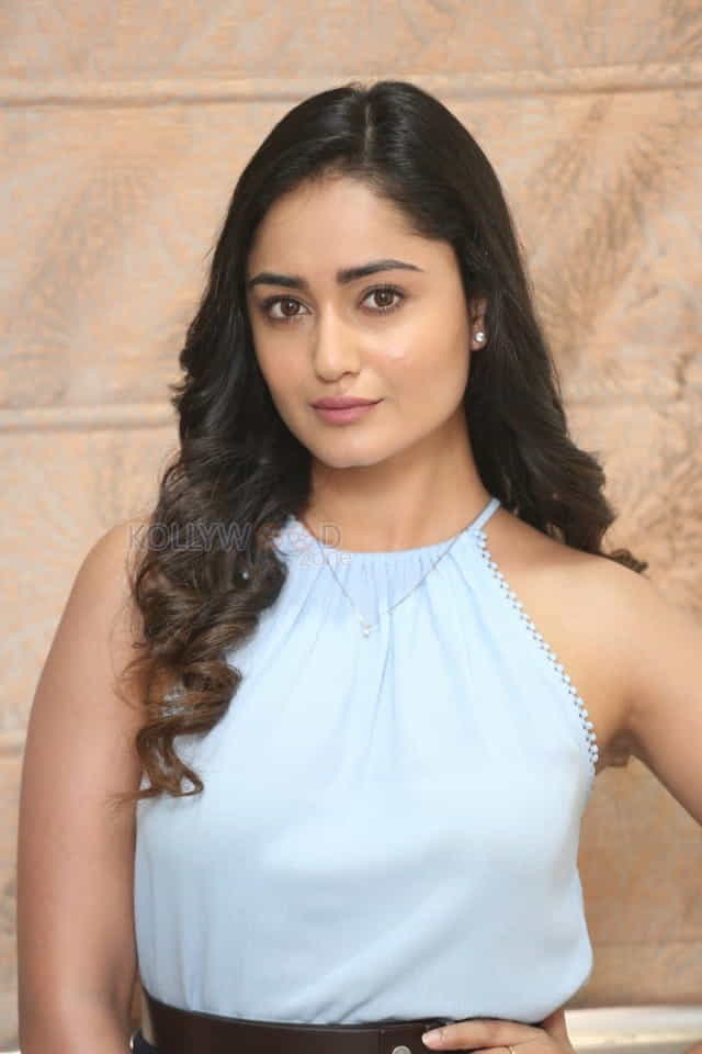 Actress Tridha Choudhury At Movie Press Meet Photos