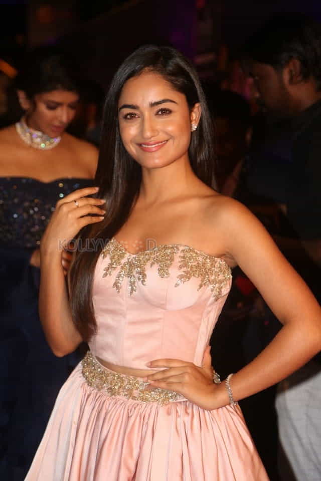 Actress Tridha Choudhury At Zee Apsara Awards Photos