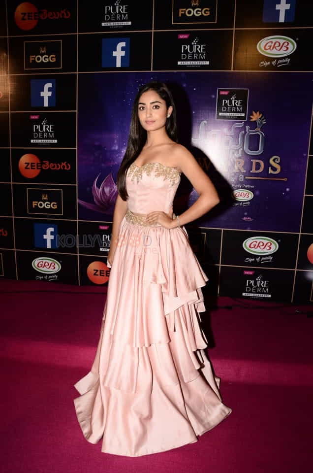 Actress Tridha Choudhury At Zee Apsara Awards Photos