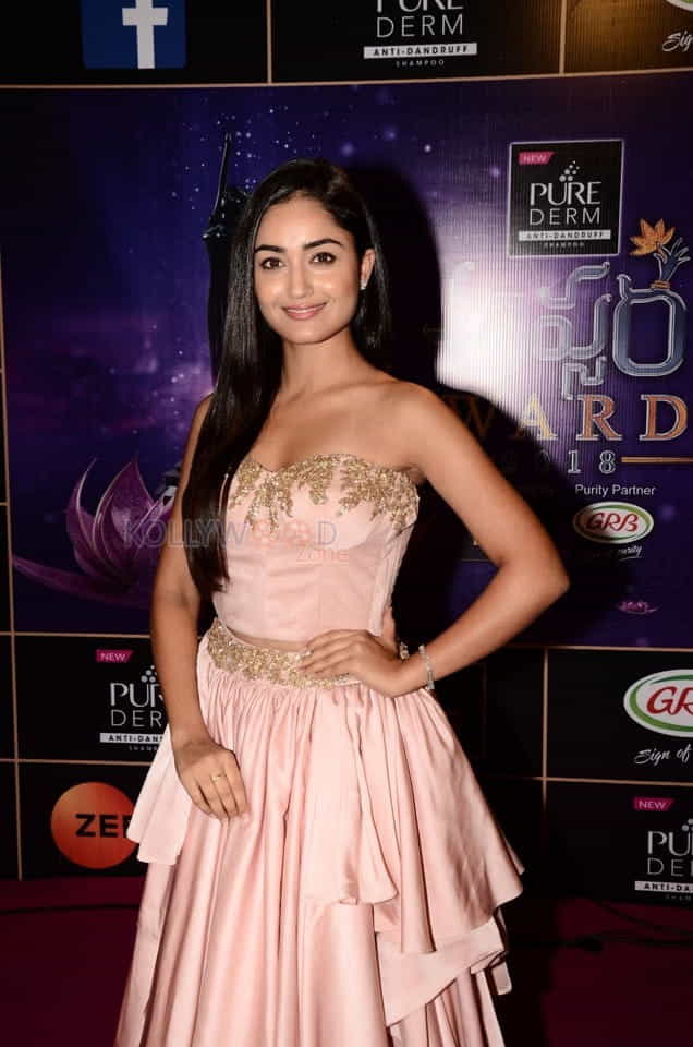 Actress Tridha Choudhury At Zee Apsara Awards Photos