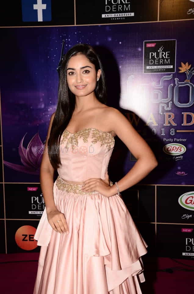 Actress Tridha Choudhury At Zee Apsara Awards Photos