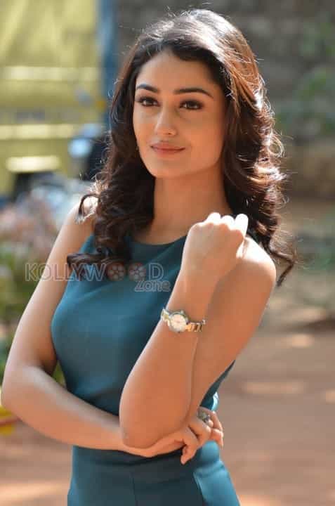 Actress Tridha Choudhury Photos