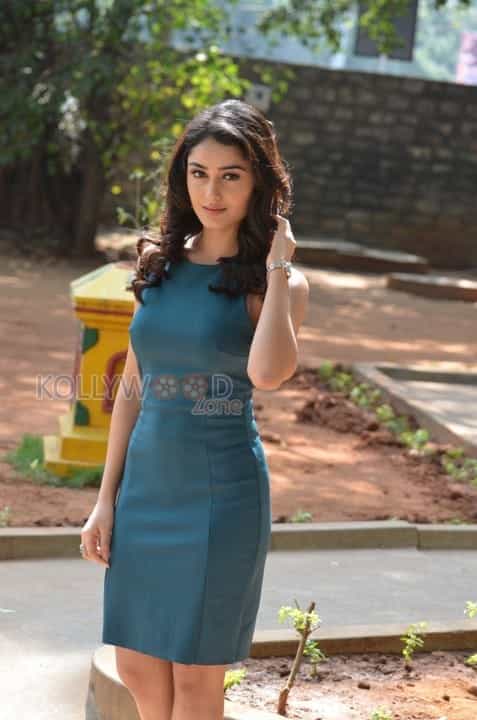 Actress Tridha Choudhury Photos