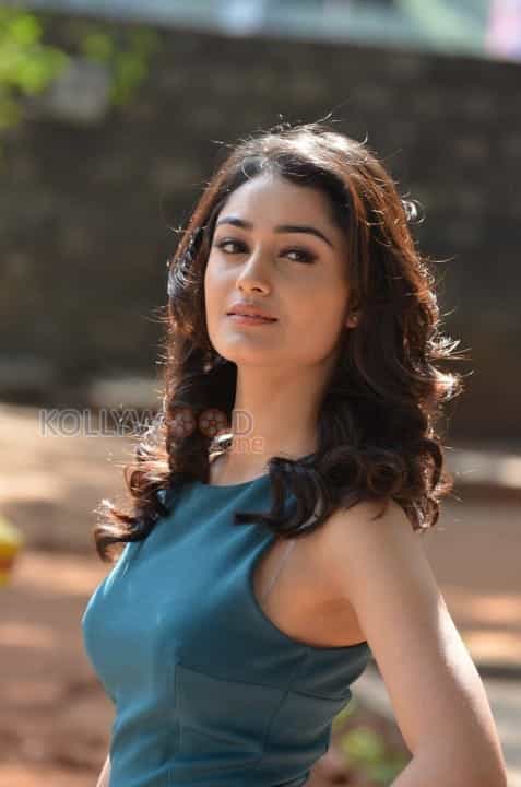 Actress Tridha Choudhury Photos