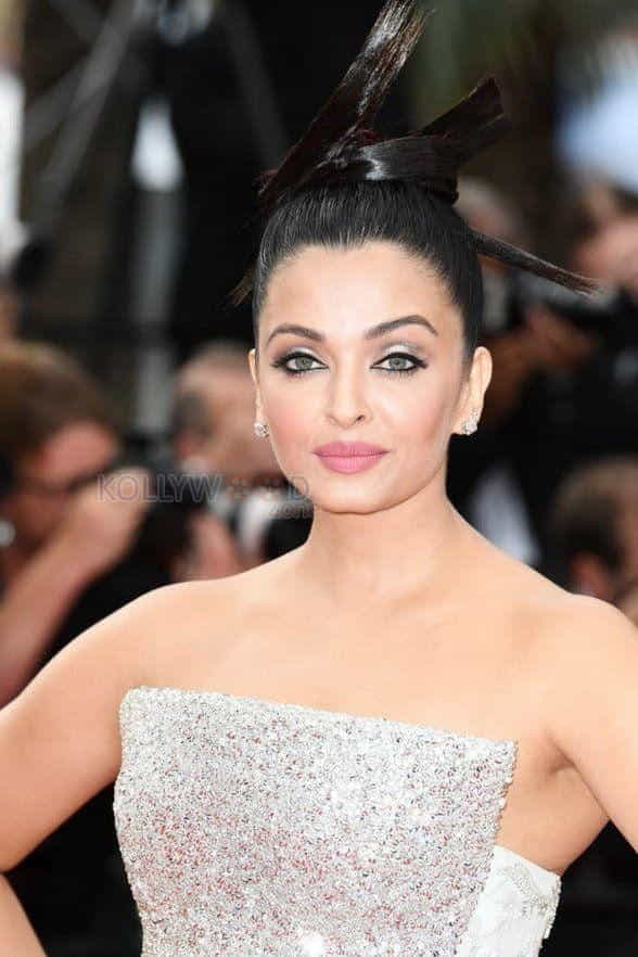 Aishwarya Rai At Cannes Photos