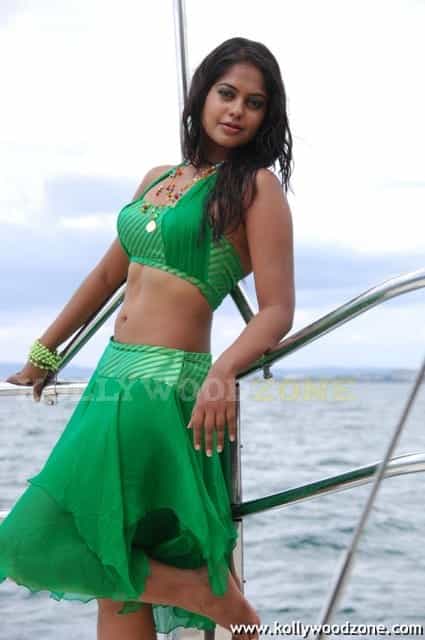 Bindu Madhavi Hot Stills