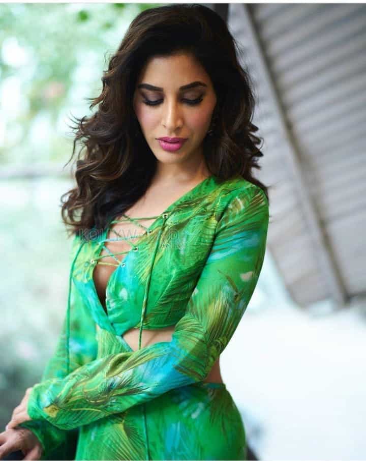 Bollywood Actress Sophie Choudary Sexy Photoshoot Pictures