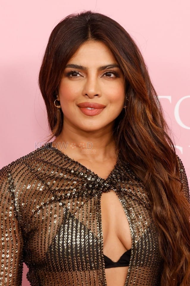 Goddess Priyanka Chopra in a Sheer Cut Out Dress Picture 01