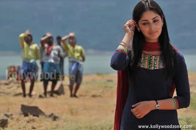 Gouravam Movie Heroine Yami Gautam Pictures