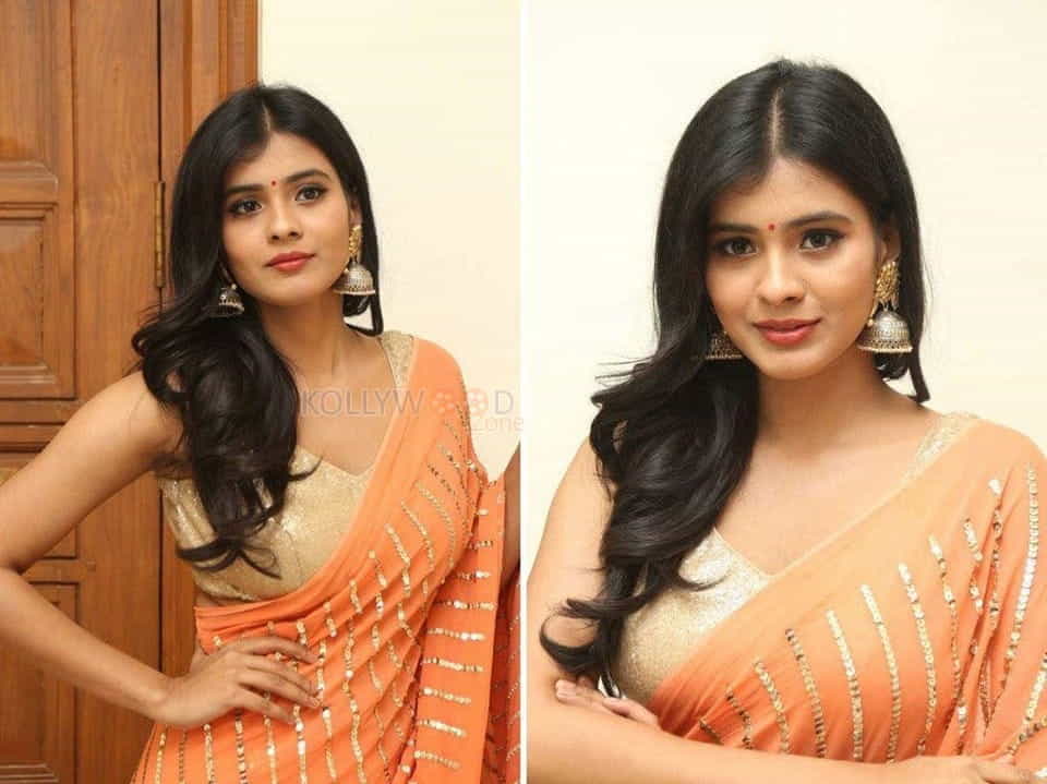 Hebah Patel Hot Pictures