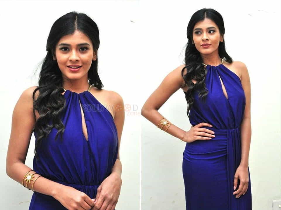 Hebah Patel Hot Pictures