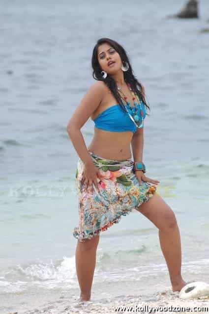 Hot Bindhu Madhavi Sexy Pics