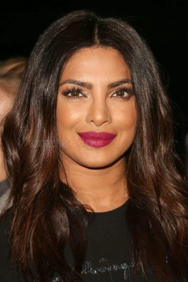 Indian American Actress Priyanka Chopra Sexy Photos 18