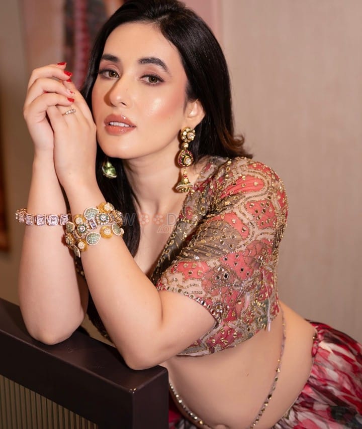 Nepalese Beauty Aditi Budhathoki in a Sexy Lehenga Photos 04