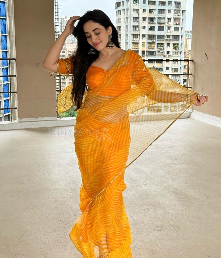 Sexy Aditi Budhathoki in a Transparent Yellow Striped Chiffon Saree Photos 01