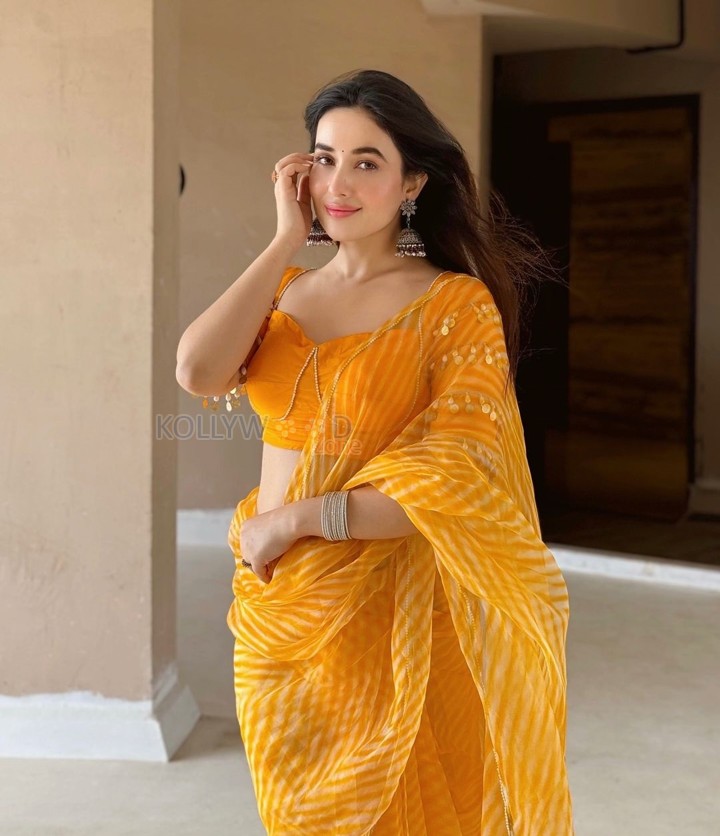 Sexy Aditi Budhathoki in a Transparent Yellow Striped Chiffon Saree Photos 02