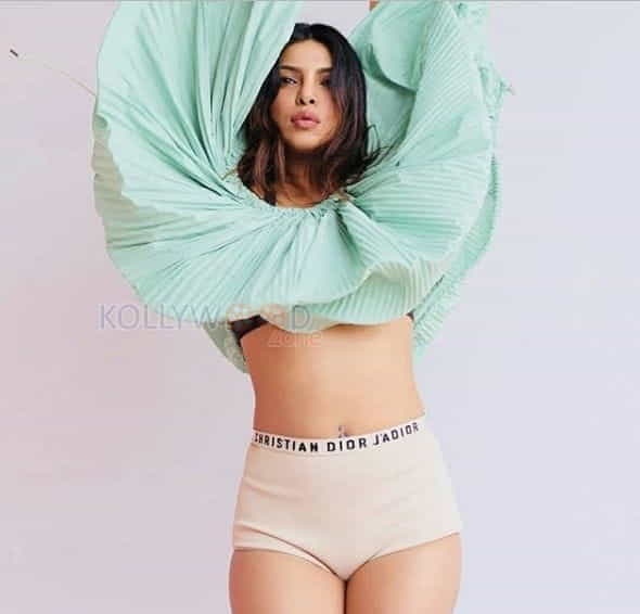 Sexy Bollywood Actress Priyanka Chopra Pictures